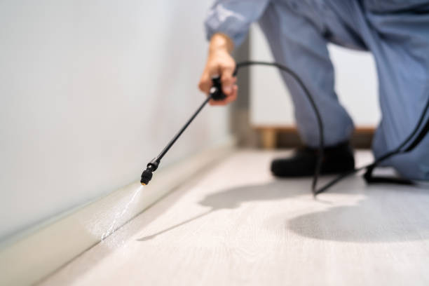 Licensed Fumigation Services service in Arp, TX - Nex Pest Control