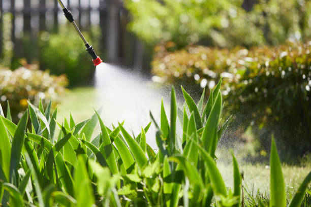 24/7 Emergency Fumigation Services experts in Arp, TX
